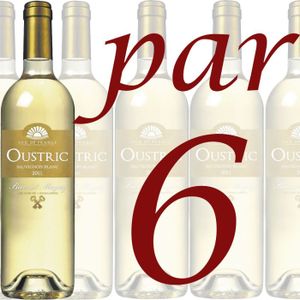 VIN BLANC Carton de 6 Oustric Sauvignon Blanc 2011