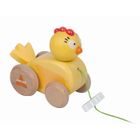  Poussin A promener Zigolo