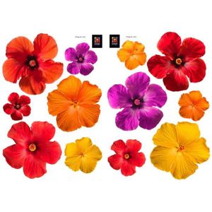PLAGE Stickers adhésif mural Taille S - Bali2 Planches 29,7 x 21 cm