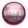 OBJETS LUMINEUX D INTERIEUR PUSH LIGHT PETS SHOP