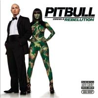 CD PITBULL