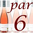 VIN ROSE 6x Cabernet Anjou 2012 Terriades "Prestige"