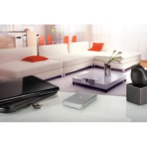 Iomega eGo 1000 Go Gris