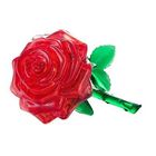 PUZZLE Puzzle 3D - Rose