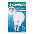 AMPOULE - LED - HALOGENE  AMPOULE SYLVANIA HALOGENE