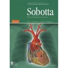SCIENCES / TECH / MEDECINE Atlas d'anatomie humaine t.2 ; tronc, viscères,...