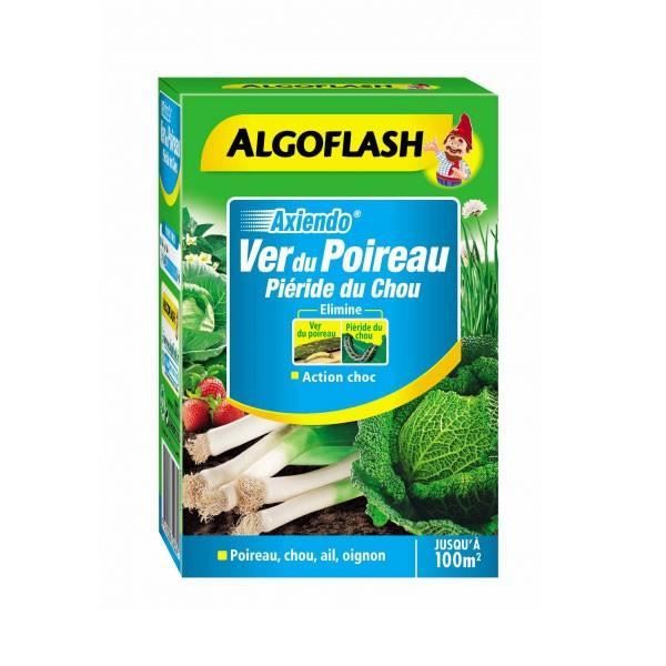 planter des poireaux