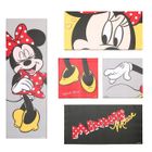 TABLEAU - TOILE - AFFICHE MINNIE Cadre imprimé X5 Pièces