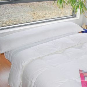 BLEU CALIN Traversin plat ? mémoire de forme Mémofill 40x140 cm blanc