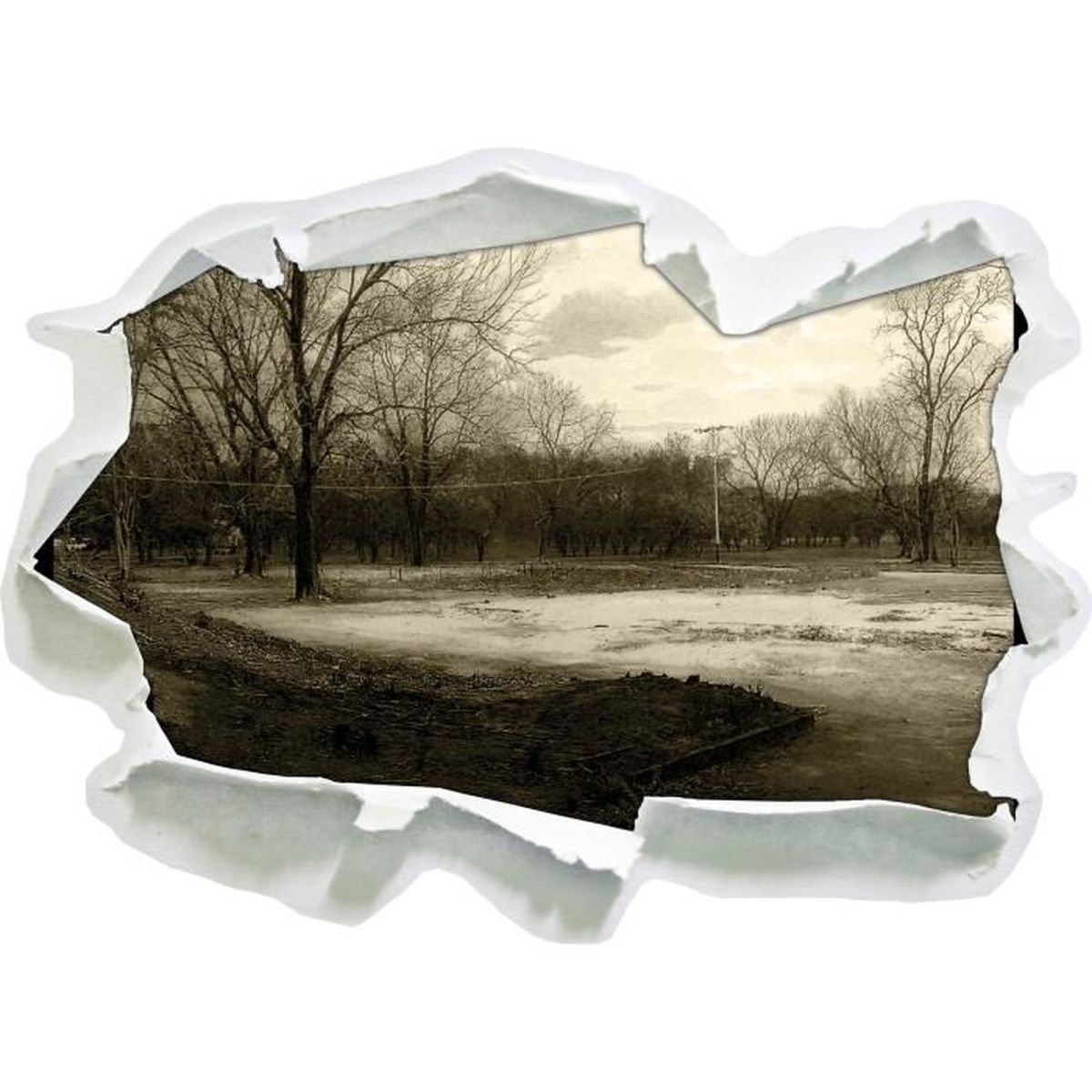 Sombre forêt, papier 3d sticker mural taille: 62x45 cm décoration ...