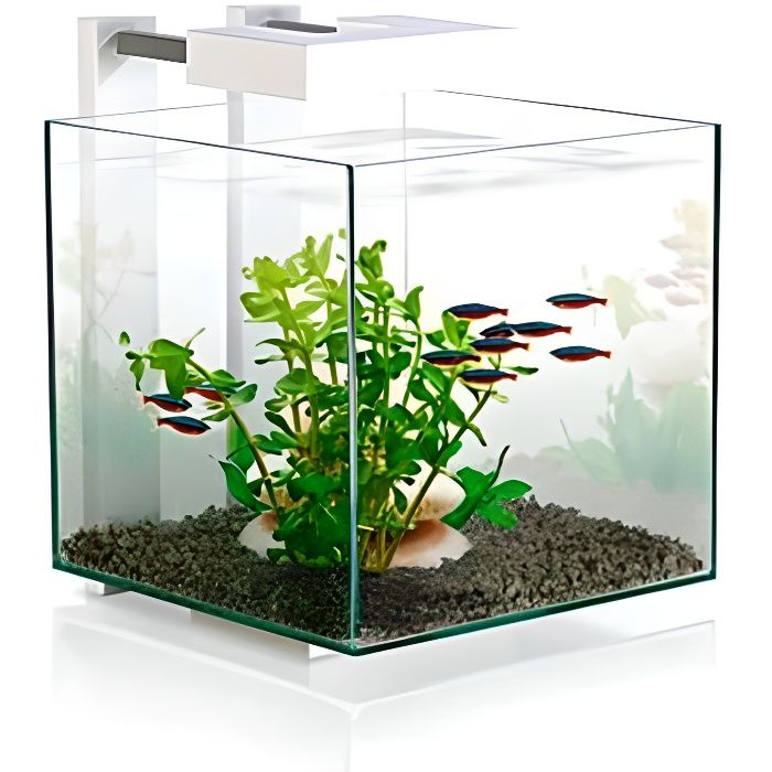 Cube Achat / Vente kit habitat couchage Aquarium Nexus Pure Cube