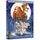 DVD DESSIN ANIME / ANIMATION / MANGA DVD La belle et le clochard 2 : l'appel de la rue