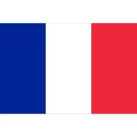 AUTRES ACCESSOIRES FOOTBALL Drapeau Supporter de la France