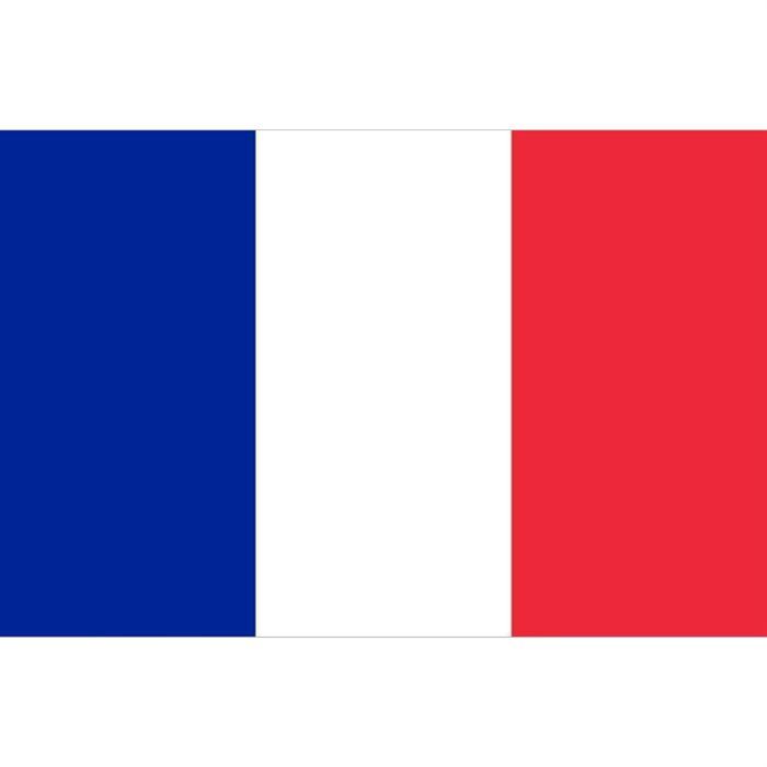 drapeau supporter de la france Achat / Vente drapeau banderole