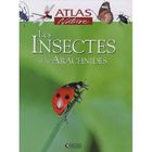  LES INSECTES ET LES ARCHNIDES