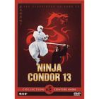 DVD FILM DVD Ceinture noire, vol. 14 : ninja condor 13