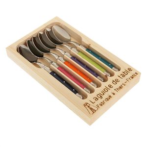 JEAN DUBOST LAGUIOLE Coffret 6 cuillères à café co