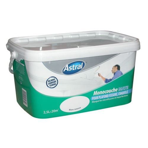 Peinture - plafond anti-fissure - mat - blanc -… - Achat ...