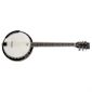 INSTRUMENTS A CORDES Guitare bluegrass 6 cordes