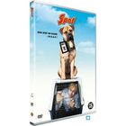 DVD FILM DVD Spot