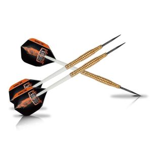 XQ Max Fléchettes de 21 grammes Benito van de Pas - 100% tungst?ne