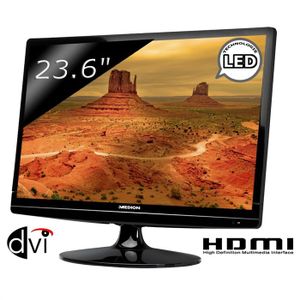 ECRAN PC MEDION AKOYA X55005 MD20160
