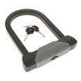 ALARME VEHICULE RAPTOR Antivol U 187X245