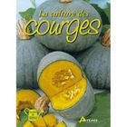 SPORTS / LOSIRS / LOISIRS CREATIFS La culture des courges