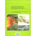 SPORTS / LOSIRS / LOISIRS CREATIFS La culture des courges