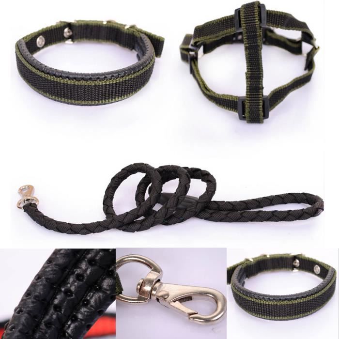 3 en 1 collier de dressage de chien + Chien + harnais 3 en 1 collier de dressage de chien + Chien + harnais