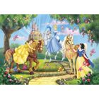 PUZZLE Puzzle Disney Princesses - 3x48 pièces