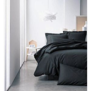 TODAY Drap plat 240x300cm Réglisse