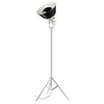 LAMPADAIRE  LAMPADAIRE SYDNEY FER BICOLOR