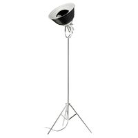 LAMPADAIRE  LAMPADAIRE SYDNEY FER BICOLOR