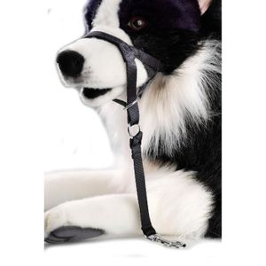 D&D Licol XL - 48-62x8,5x48cm - Noir - Pour chien