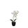 MICA DECORATIONS Lot de 2 Fleurs Phalaenopsis arti