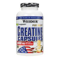 CRÉATINE PURE CREATINE 200 gélules NTT CRÉATINE PURE CREATINE 200 gélules NTT