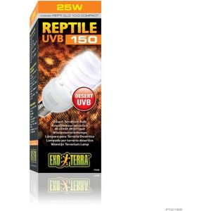 REPTI GLO 10 ampoule fluocompacte 26 W