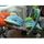 Transat Bébé Arche Électronique Chicco Sea Sound