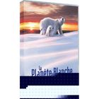 DVD DOCUMENTAIRE DVD Planète blanche