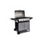 BARBECUE - PLANCHA Barbecue professionnel à gaz 4 brûleurs + 1 pla…