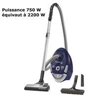 Aspirateur ROWENTA RO4631EA Aspirateur ROWENTA RO4631EA