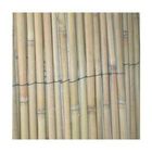 CLOTURE - BARRIERE Canisse roseau - 1x5 m