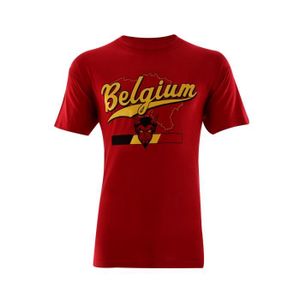 t shirt blason belgique gris nations