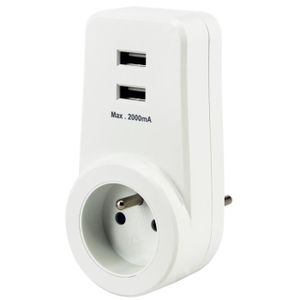 CHACON Prise 16 A avec 2 ports USB blanc