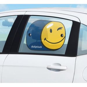 SMILEY 2 écrans latéraux carrés