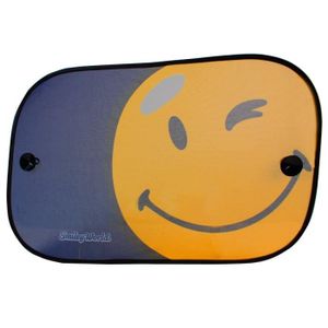 SMILEY 2 écrans latéraux monospace
