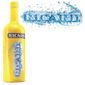 APERITIF ANISE Ricard 1L Serie limitée