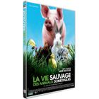 DVD FILM DVD La vie sauvage des animaux domestiques