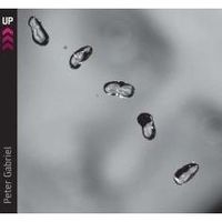 CD PETER GABRIEL